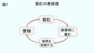 豊島区　消化器内科・肛門科　専門医が診察する裂肛のスライド