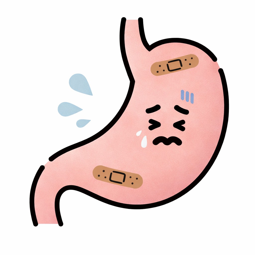 東京都豊島区大塚のおなかとおしりのクリニック 東京大塚の慢性胃炎のイラスト
