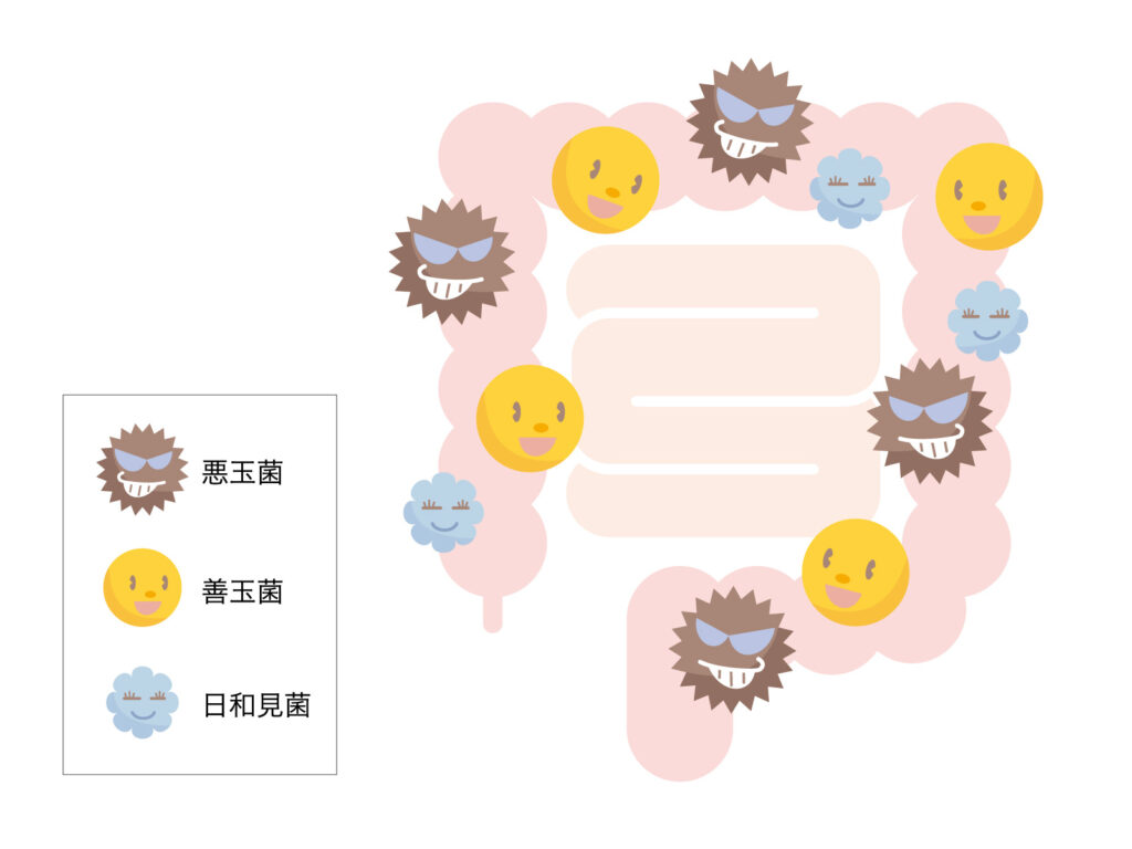 腸内細菌細菌叢のイラスト|豊島区(巣鴨、池袋、駒込、板橋、北区、王子、文京区対応)消化器内科・肛門科で乳酸菌製剤の効果や便潜血陽性時の大腸カメラ検査を解説