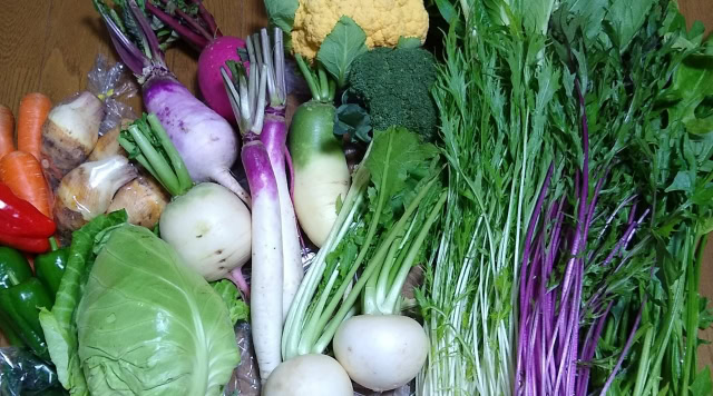 豊島区大塚駅徒歩1分のおなかとおしりのクリニック 東京大塚の野菜の写真