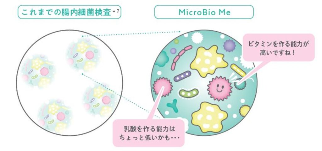 東京都豊島区（巣鴨、池袋、駒込、板橋、北区、王子、文京区対応）おなかとおしりのクリニック 東京大塚　腸内フローラ（腸内細菌叢）を調べるマイクロバイオミー検査の特徴のイラスト（腸内細菌の能力）
