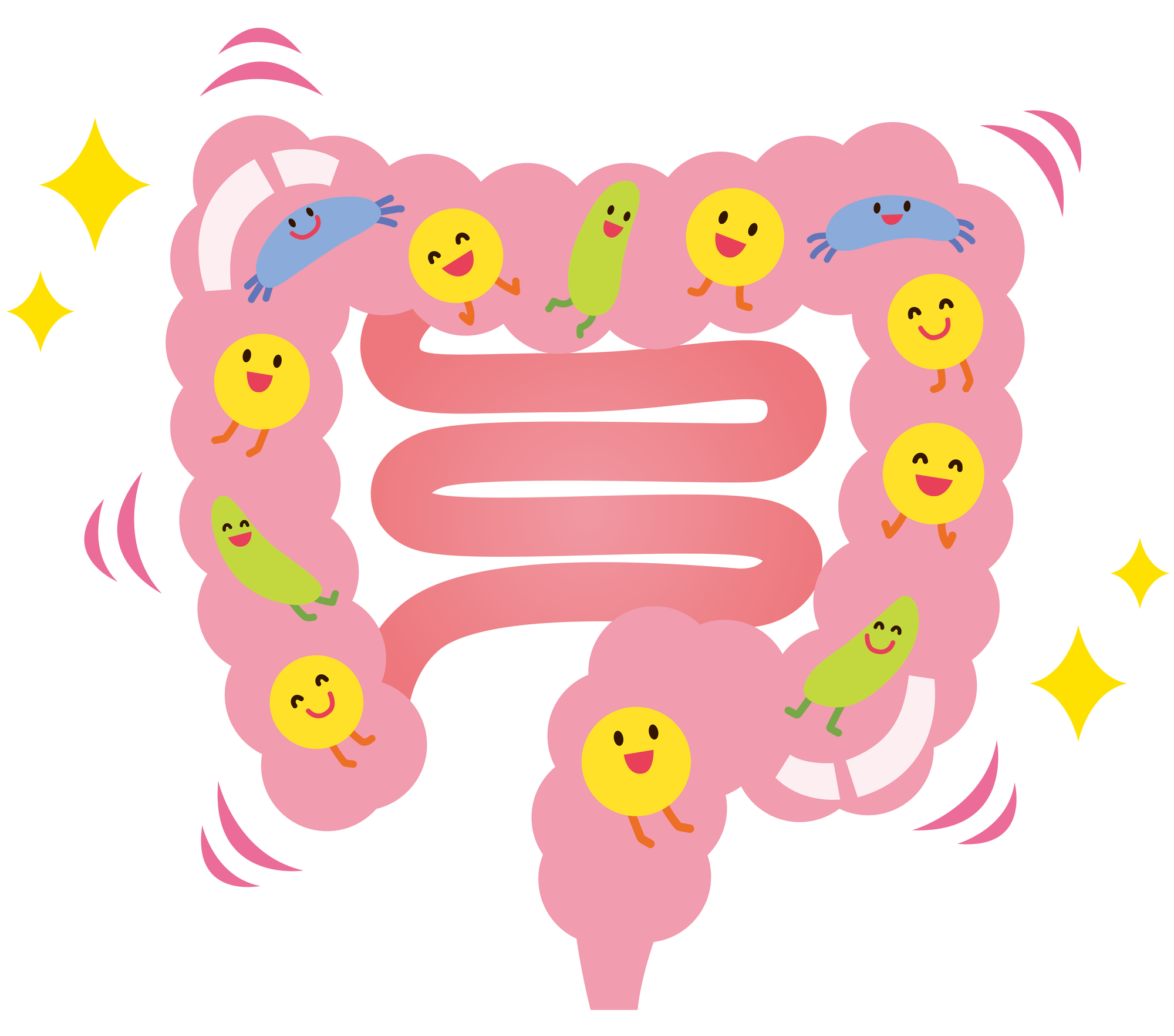 腸内フローラとIBS（過敏性腸症候群）の関係とは？｜最新研究から読み解く腸と心のつながり