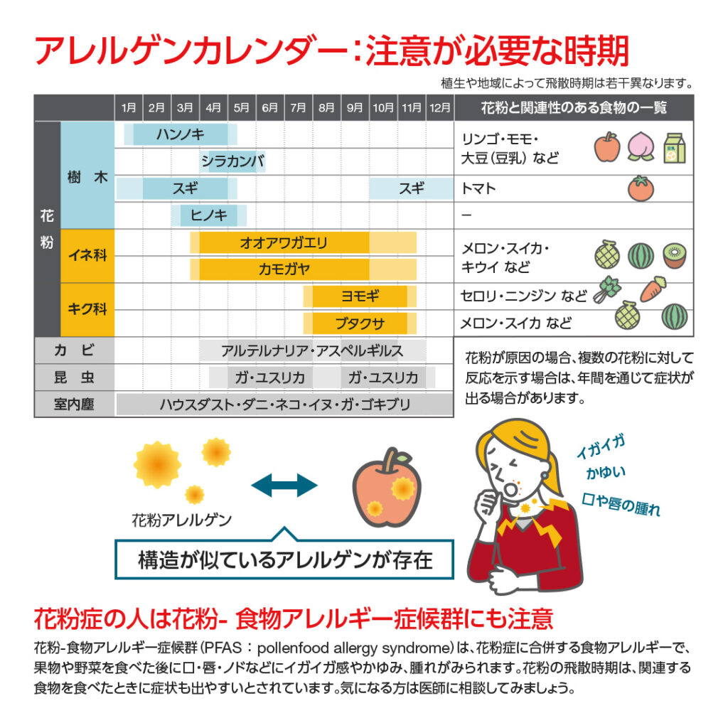 東京豊島区(池袋、巣鴨、駒込、板橋、北区、王子、文京区よりアクセス良好)おなかとおしりのクリニック 東京大塚のアレルギー検査説明のイラスト