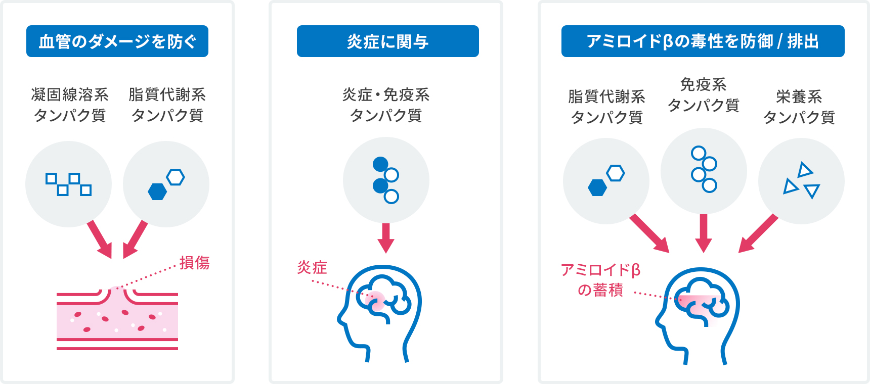 豊島区（池袋、巣鴨、駒込、北区、王子、板橋、文京区よりアクセス良好）おなかとおしりのクリニック 東京大塚の軽度認知症MCIスクリーニング検査の説明イラスト