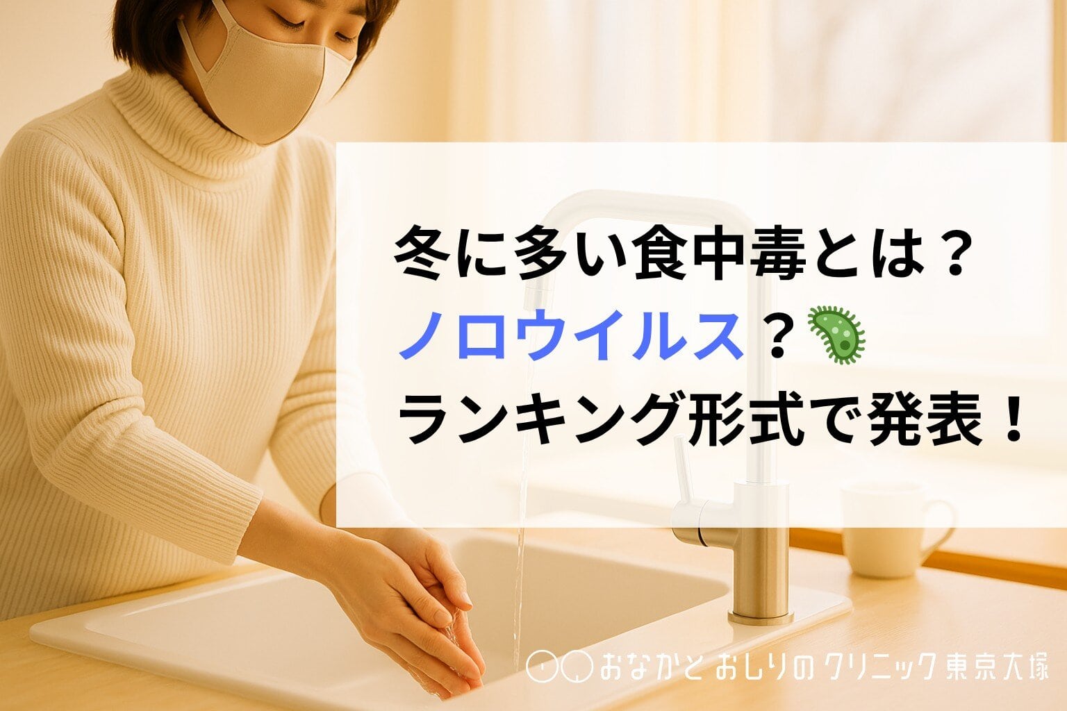 冬に多い食中毒とは?ノロウイルス?ランキング形式で発表