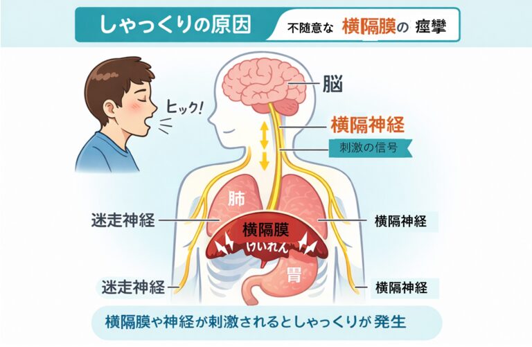 しゃっくりが止まらない時の正しい止め方｜原因・病気のサインと対処法を医師が解説｜豊島区大塚の消化器内科・肛門科・内視鏡｜胃カメラ・大腸カメラ ...