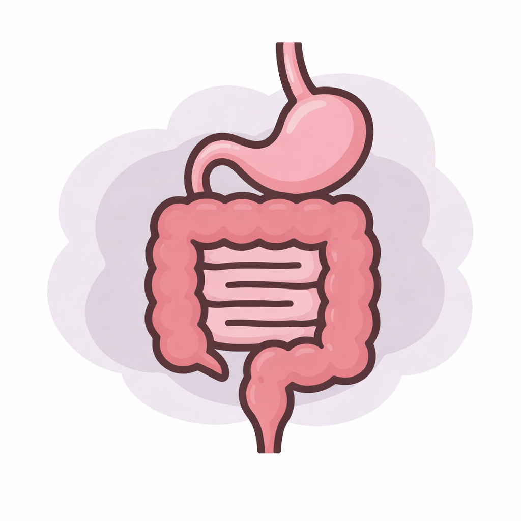 東京都豊島区大津kのアおなかとおしりのクリニック 東京大塚の胃腸不調のイラスト