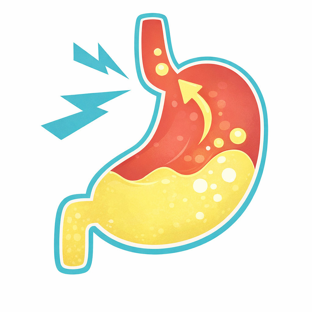 東京都豊島区大塚のおなかとおしりのクリニック 東京大塚の逆流性食道炎のイラスト