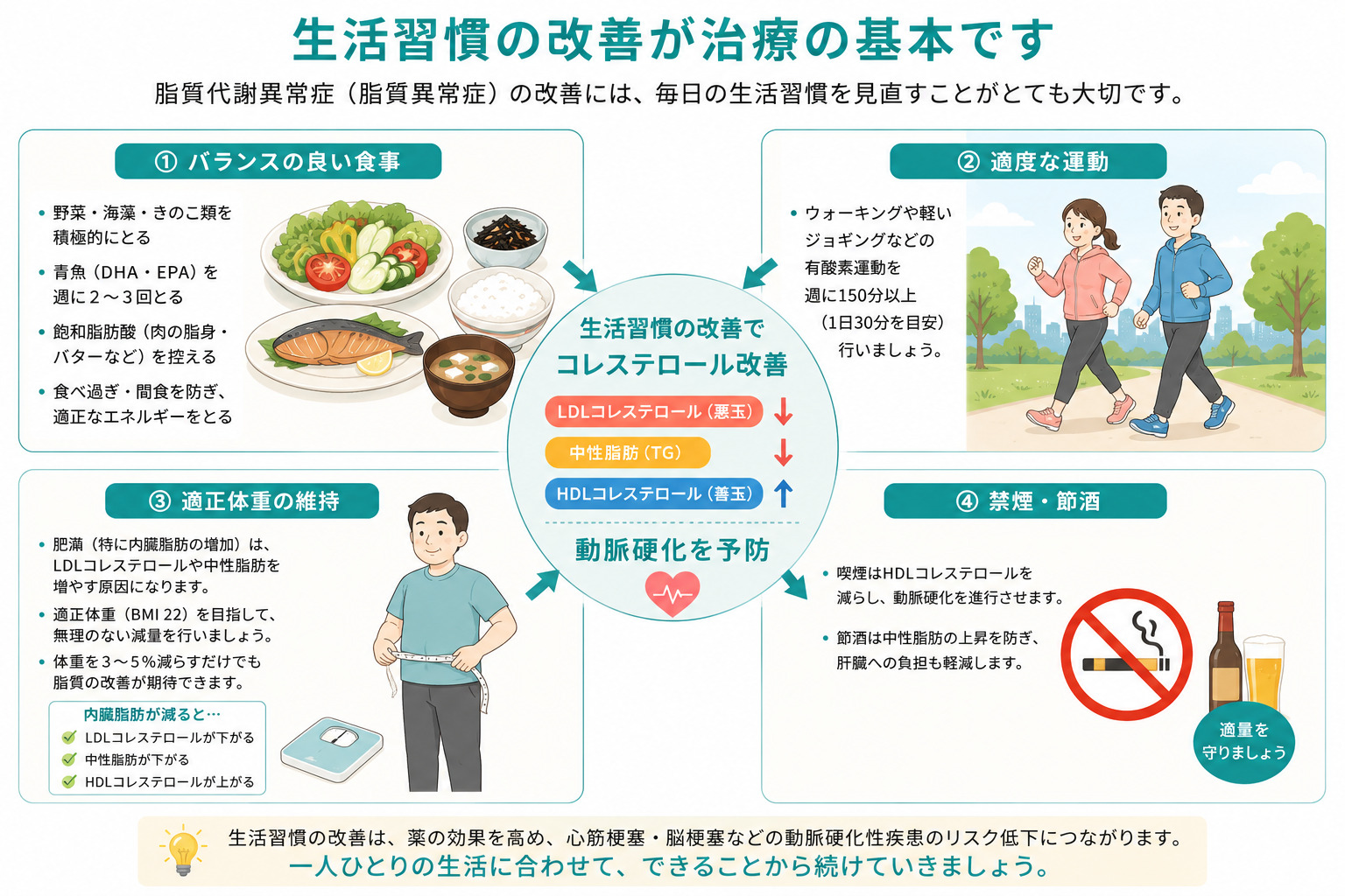 脂質代謝改善イラスト
