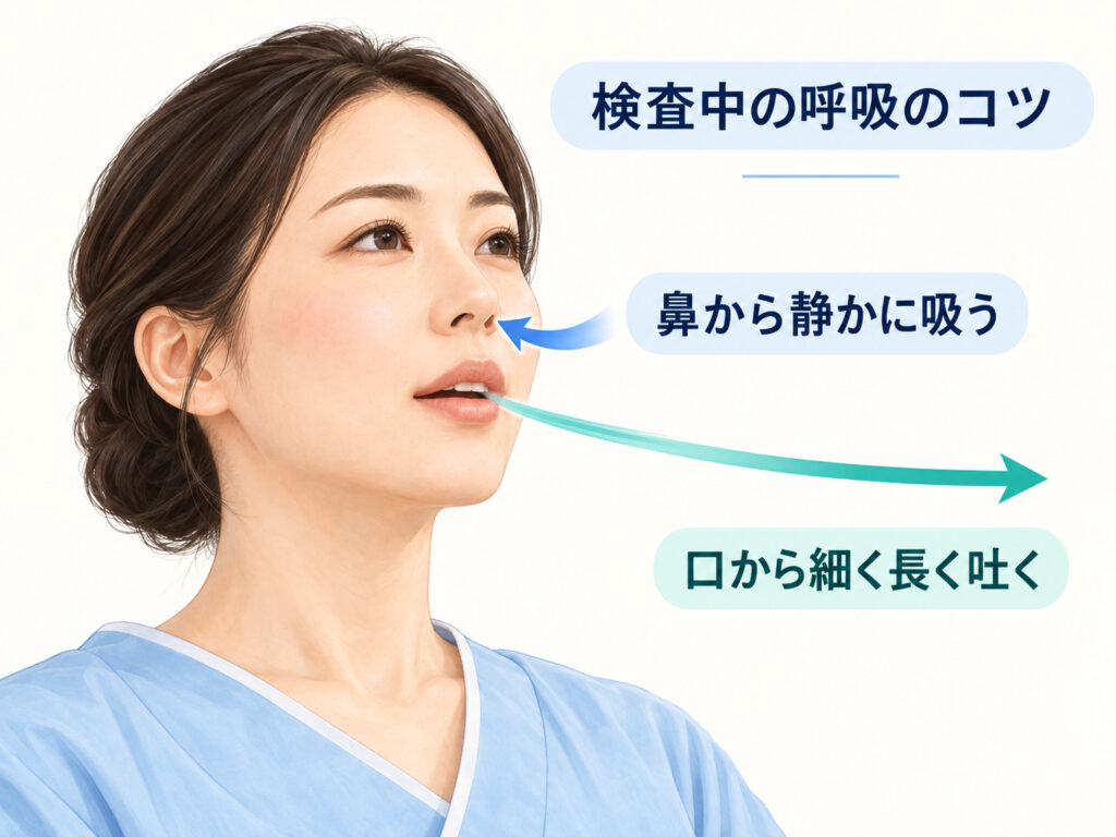 鼻から静かに息を吸い、口から細く長く吐く呼吸のイメージ図